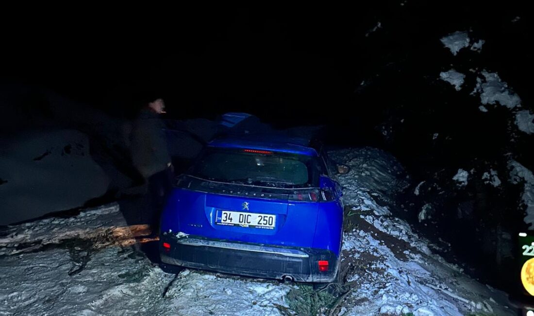 Bolu’da bin 700 rakımlı yaylaya tatil için çıkan bir grup,