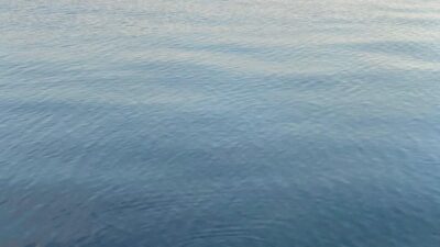 Zonguldak’ın Ereğli ilçesinde sahil bandında gezintiye çıkan vatandaşlar, denizde oyun