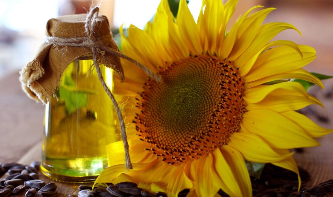 İSTANBUL / TEKHA Türkiye’nin ayçiçeği yağı ihracatı 2026 yılının ilk