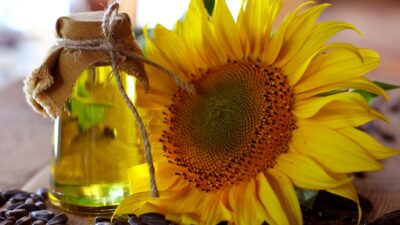 İSTANBUL / TEKHA Türkiye’nin ayçiçeği yağı ihracatı 2026 yılının ilk