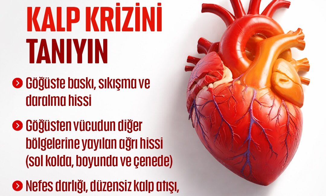 Kalp Krizinde Erken Müdahale Hayat Kurtarıcı Rol Oynuyor Yalova İl