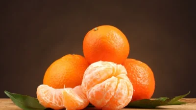 Türkiye’nin Turunçgil İhracatı Geçen Yıla Göre Yüzde 61 Artış Gösterdi