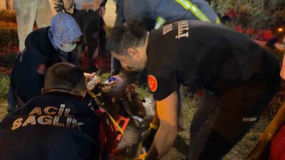 Van’ın Tuşba ilçesinde 2 aracın karıştığı trafik kazasında 8 kişi