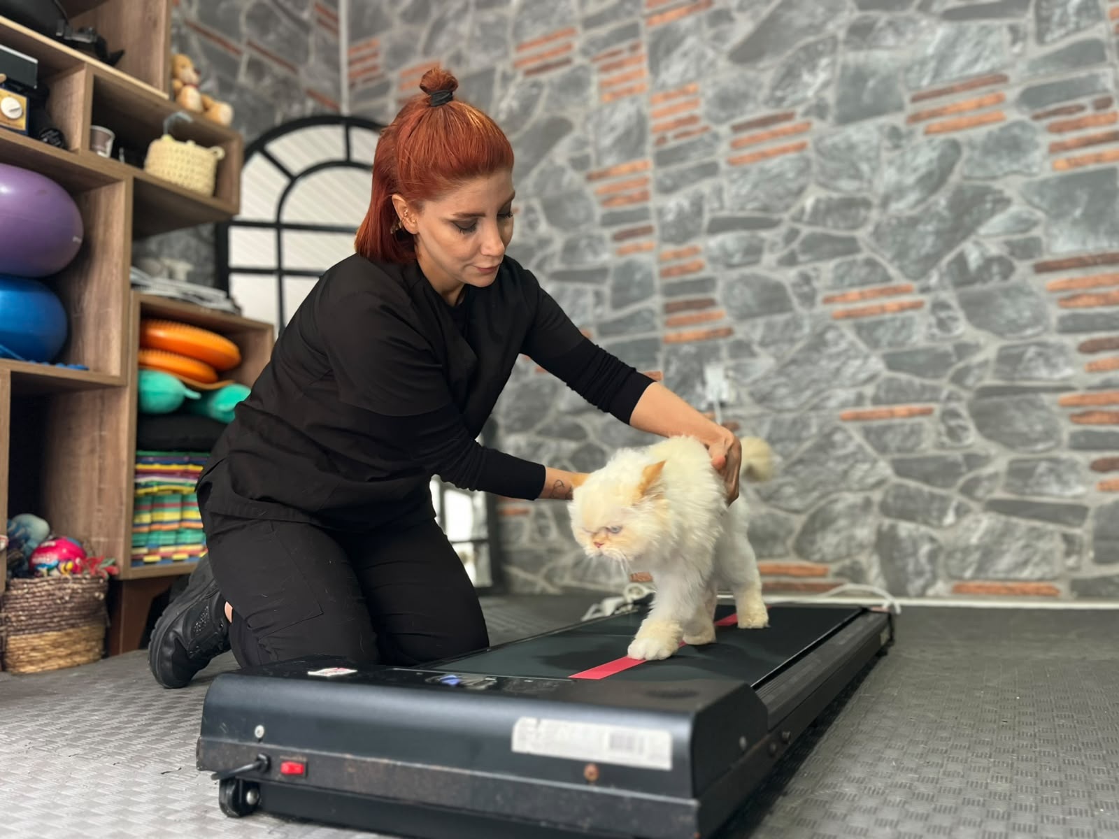 Ankara’da yaşayan ev kadını Sevda Pek, 18 yaşındaki ‘chinchilla’ cinsi