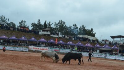 İzmir’in Kemalpaşa ilçesi Akalan Mahallesi, bu yıl üçüncüsü düzenlenen Boğa