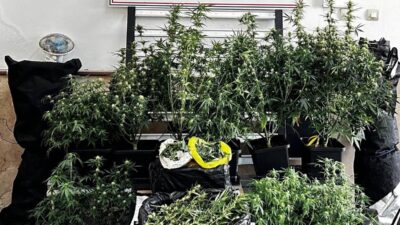 BURSA / TEKHA Bursa’nın Osmangazi ilçesinde jandarma ekipleri tarafından bir