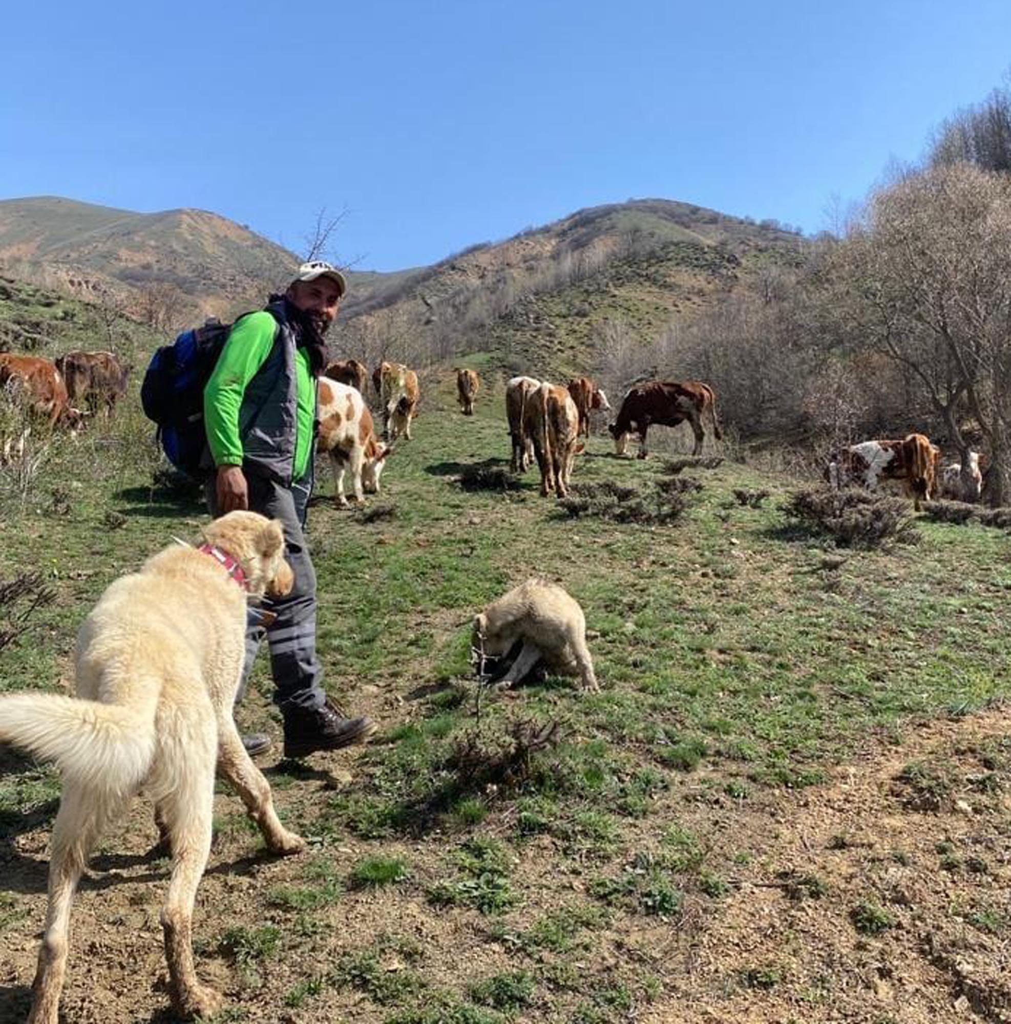 Erzincan’ın Refahiye ilçesinde hayvancılıkla uğraşan ve doğa fotoğrafçılığı yapan Baki