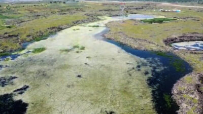 Gaziantep’in İslahiye ilçesinde bulunan Bağlama Göleti, ilkbaharın gelişiyle birlikte açan