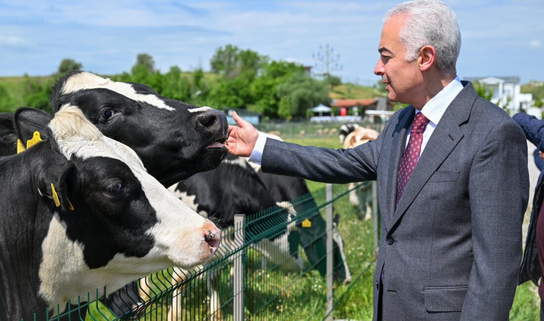 KIRKLARELİ / TEKHA Kırklareli Valisi Uğur Turan, 14 Mayıs Dünya