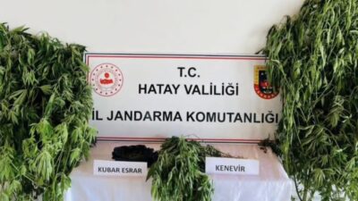 Hatay’ın Samandağ ilçesinde jandarma ekiplerince uyuşturucu ile mücadele kapsamında düzenlenen