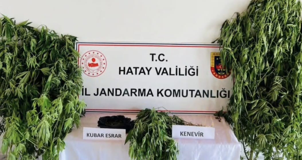 Hatay’ın Samandağ ilçesinde jandarma ekiplerince uyuşturucu ile mücadele kapsamında düzenlenen