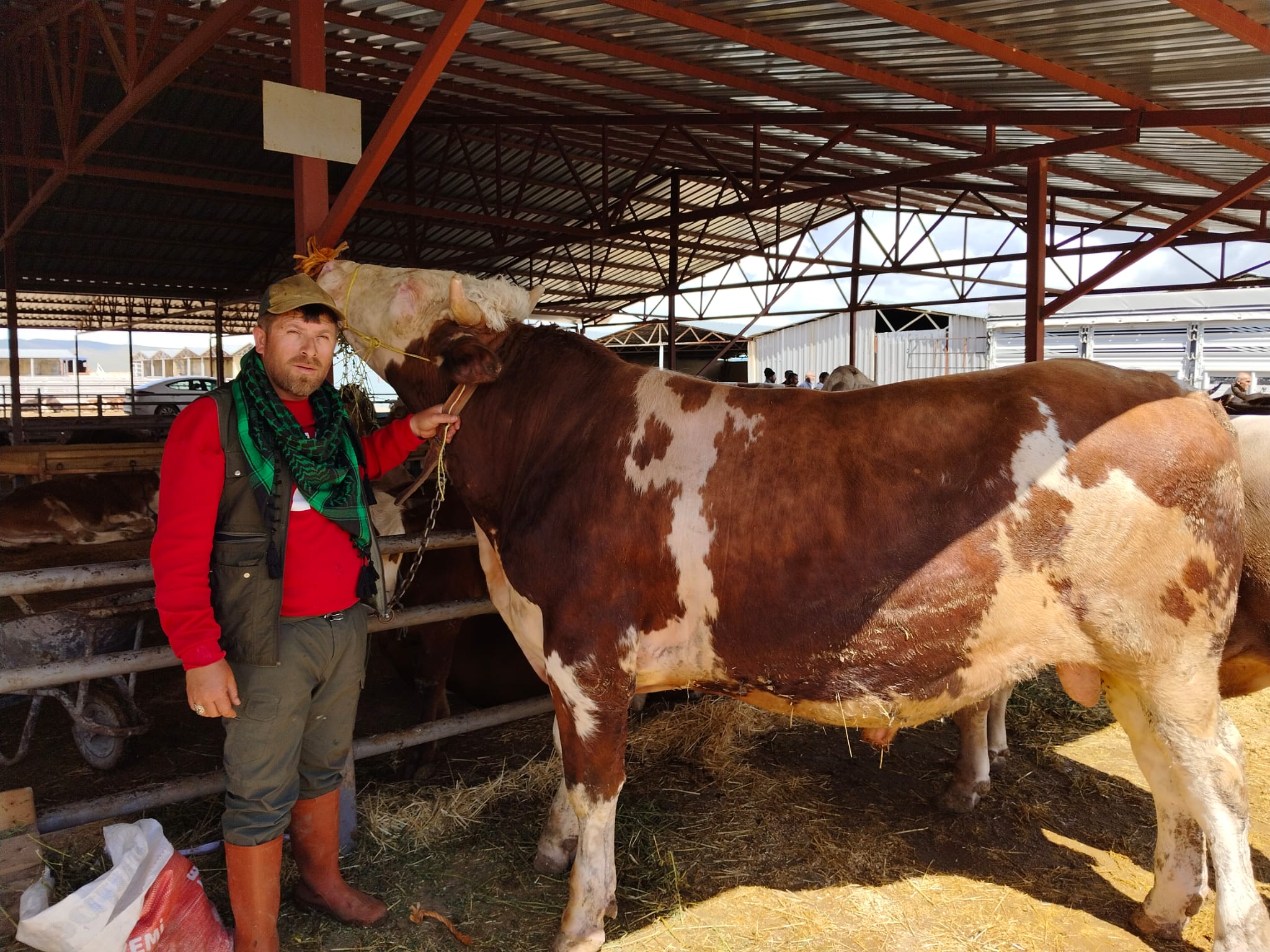 Kurban Bayramı’na 2 gün kala Kırşehir Hayvan Pazarı’nda satış hareketliliği