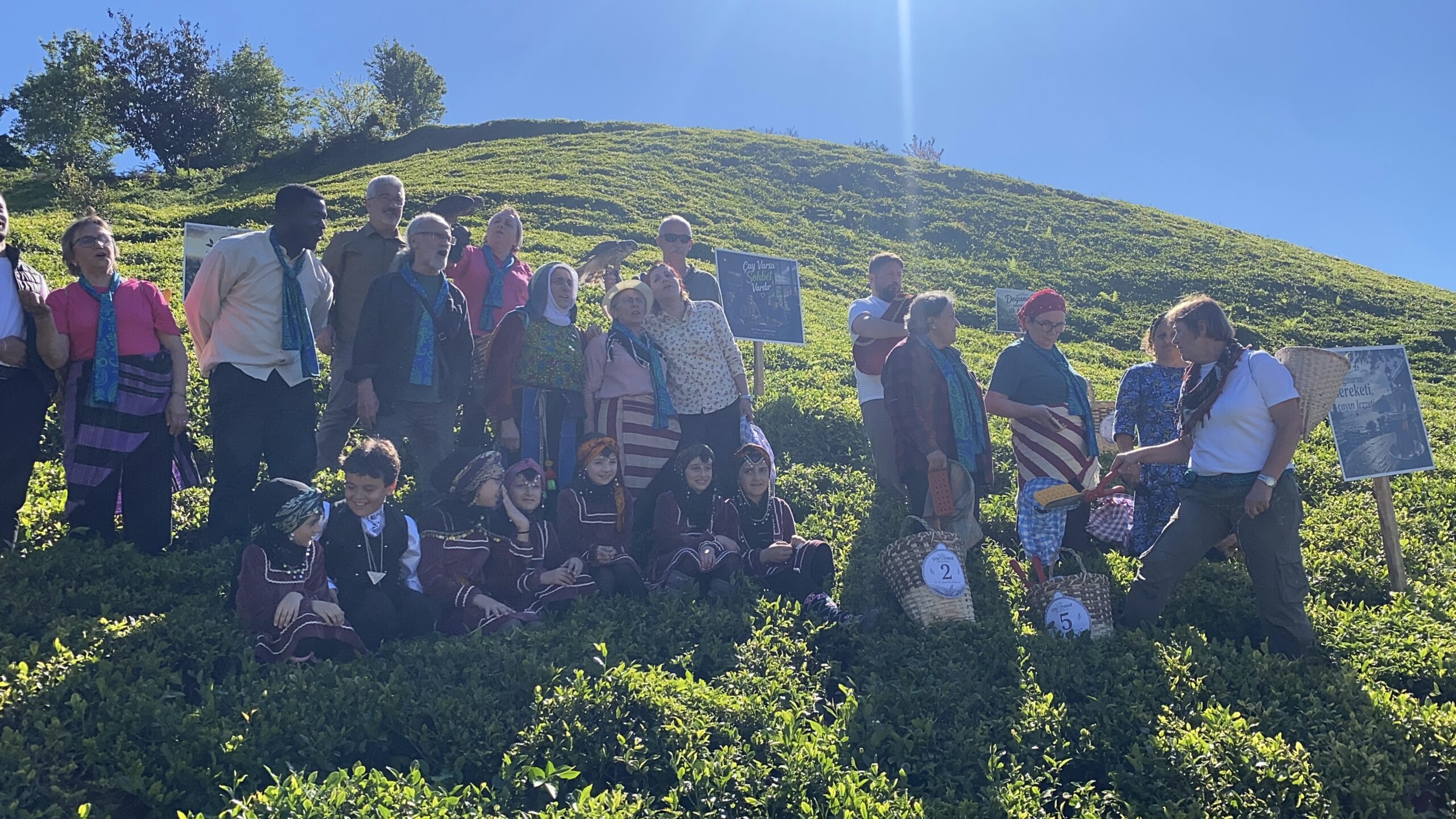 RİZE’nin Ardeşen ilçesinde, çay hasadı ilk kez düzenlenen şenlikle birlikte