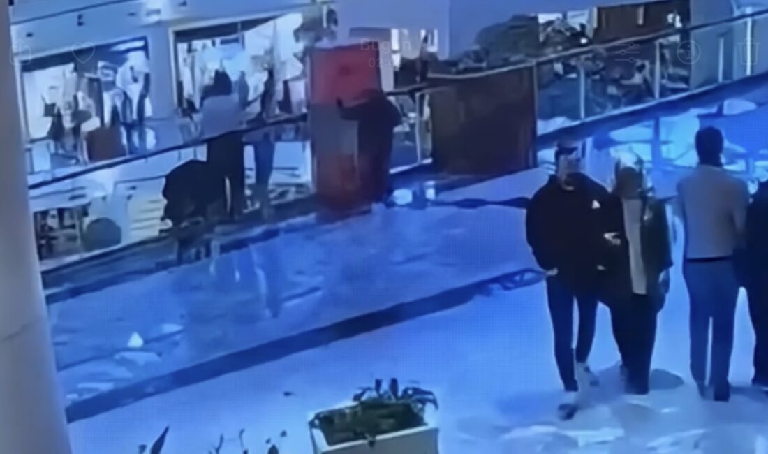 Sarıyer İstinye’de bir alışveriş merkezinde çocuklarıyla vakit geçiren bir annenin
