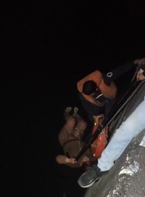 Adana’da Regülatör Köprü yakınlarında Seyhan Nehri’ne düşen bir kadın, itfaiye