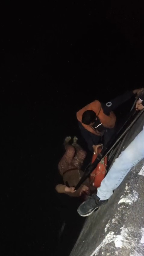 Adana’da Regülatör Köprü yakınlarında Seyhan Nehri’ne düşen bir kadın, itfaiye