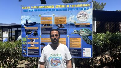 Avrupa’nın en iyi kumsalları arasında gösterilen Ortaca’nın İztuzu Plajı, nesli