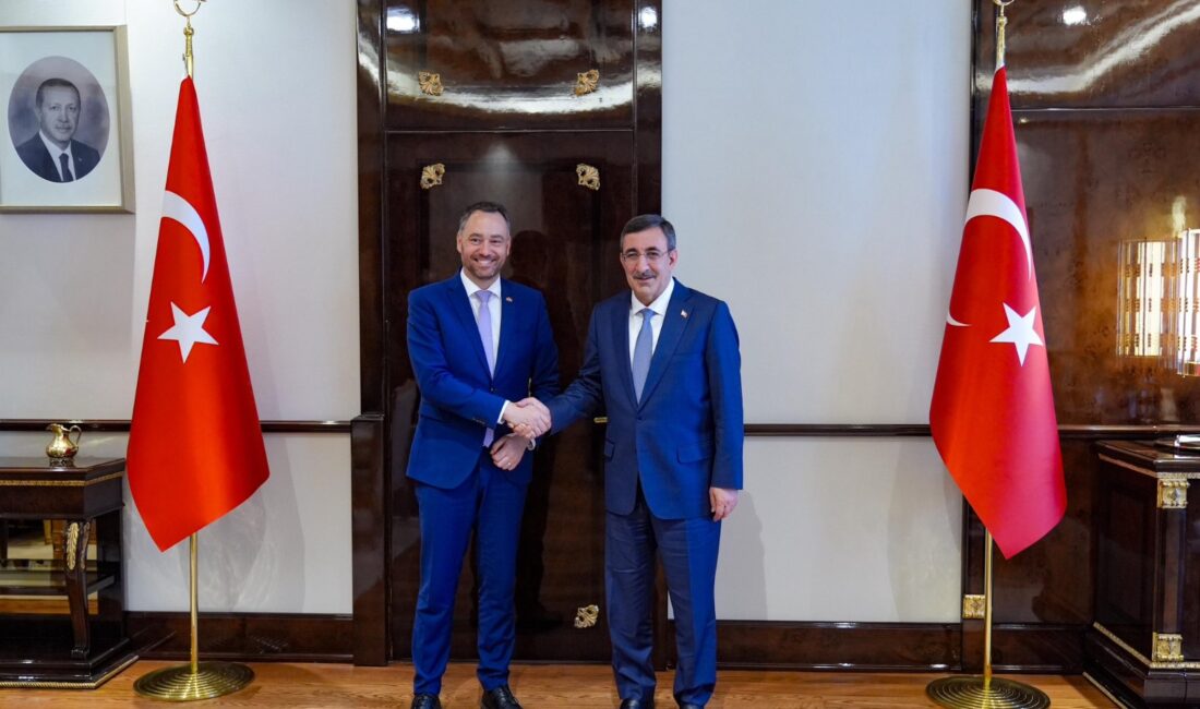 Cumhurbaşkanı Yardımcısı Cevdet Yılmaz, Belçika Başbakan Yardımcısı ve Dışişleri, Avrupa