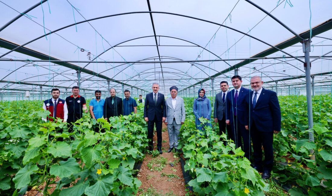 Mardin Valisi ve Büyükşehir Belediye Başkan Vekili Tuncay Akkoyun, Kızıltepe