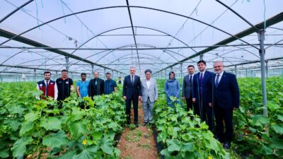 Mardin Valisi ve Büyükşehir Belediye Başkan Vekili Tuncay Akkoyun, Kızıltepe