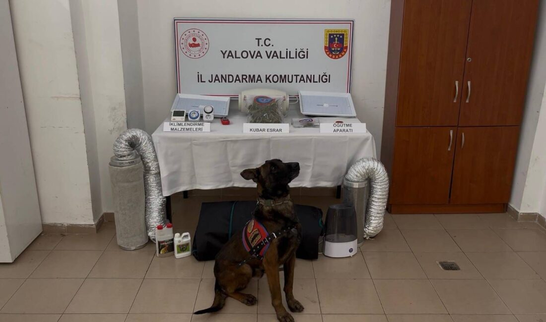 Yalova İl Jandarma Komutanlığı ekipleri, uyuşturucuyla mücadele çalışmaları kapsamında önemli
