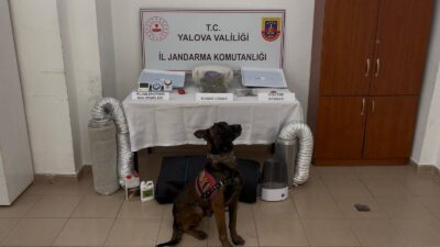 Yalova İl Jandarma Komutanlığı ekipleri, uyuşturucuyla mücadele çalışmaları kapsamında önemli