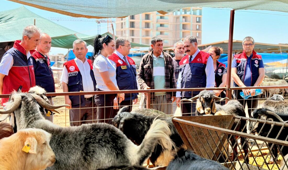   MERSİN / TEKHA Yaklaşan Kurban Bayramı öncesinde, Mersin genelinde