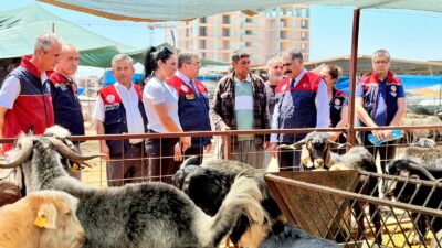   MERSİN / TEKHA Yaklaşan Kurban Bayramı öncesinde, Mersin genelinde
