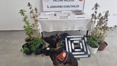 Yalova İl Jandarma Komutanlığınca, uyuşturucuyla mücadeleye yönelik yürütülen çalışmalar kapsamında