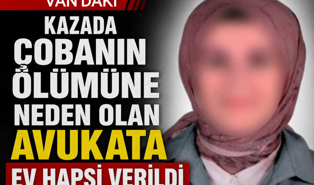Van’ın Gürpınar ilçesinde çarptığı çoban Musa Tunç’un yaşamını yitirmesine neden