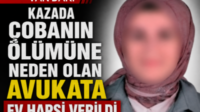 Van’ın Gürpınar ilçesinde çarptığı çoban Musa Tunç’un yaşamını yitirmesine neden