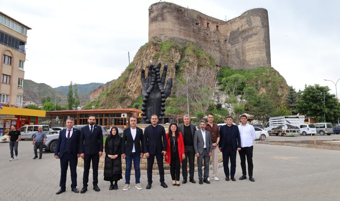 Anahtar Parti Genel Başkan Yardımcısı ve Sağlık Politikaları Başkanı, Oltulu