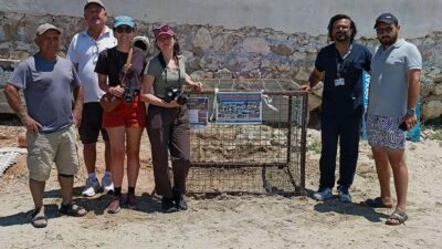 Aydın’da ilk caretta caretta yuvası Didim ilçesinin Huzur Sitesi plajında