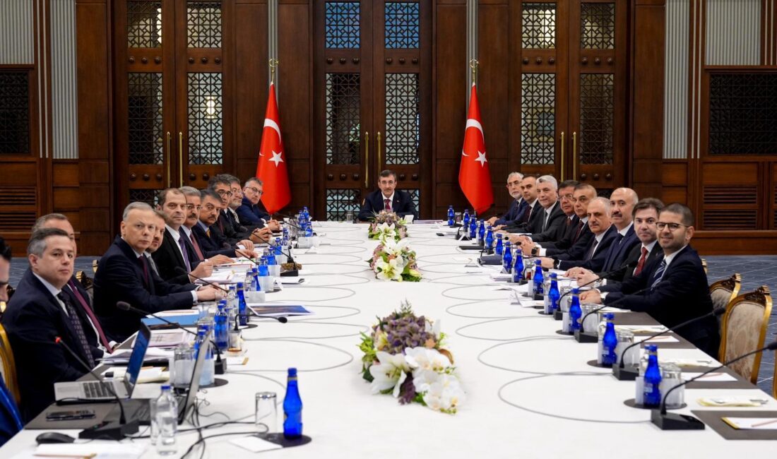 ANKARA / TEKHA Ekonomi Koordinasyon Kurulu (EKK), Cumhurbaşkanı Yardımcısı Cevdet