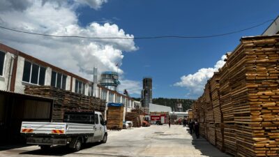 Kastamonu’nun Tosya ilçesindeki kapı fabrikasının talaş silosunda çıkan yangın hasara
