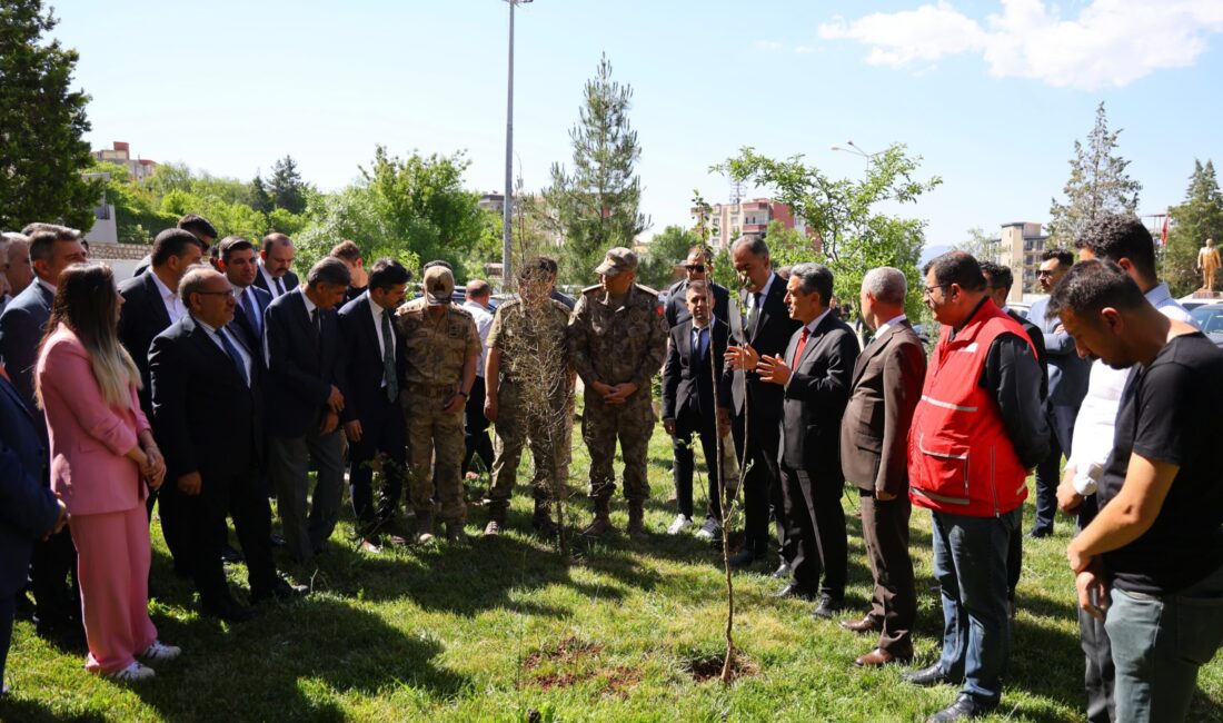 ŞIRNAK / TEKHA Şırnak Valisi Birol Ekici, il protokolü ve