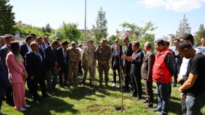 ŞIRNAK / TEKHA Şırnak Valisi Birol Ekici, il protokolü ve