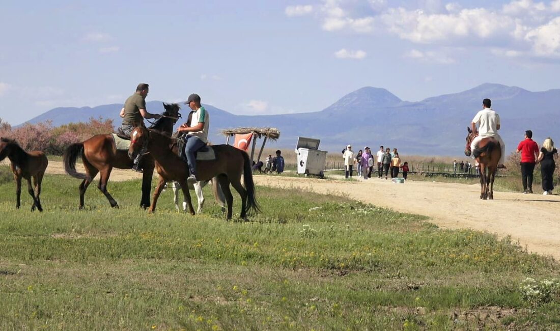 Türkiye’nin önemli sulak alanlarından biri olan Kayseri’deki Sultan Sazlığı Milli