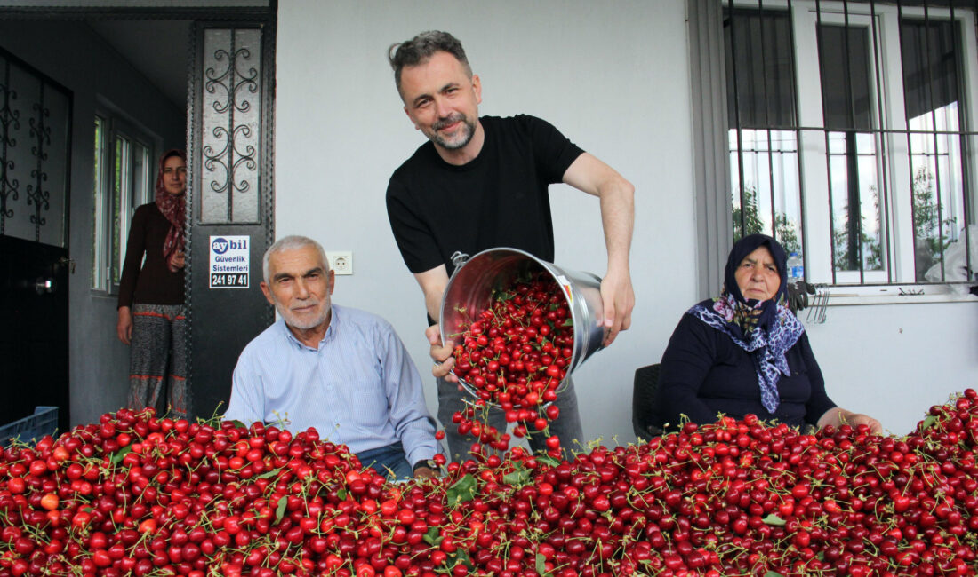 Türkiye’de yaklaşık iki hafta önce İzmir-Manisa bölgesinde hasadına başlanan kirazın,