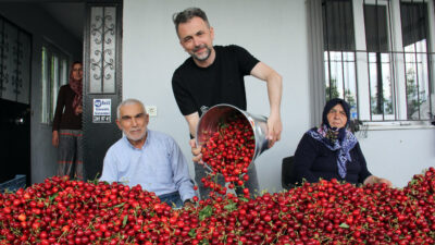 Türkiye’de yaklaşık iki hafta önce İzmir-Manisa bölgesinde hasadına başlanan kirazın,