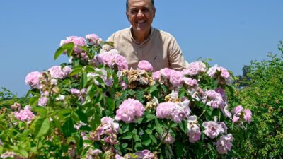 Yalova Valisi Dr. Ahmet Hamdi Usta, Atatürk Bahçe Kültürleri Merkez