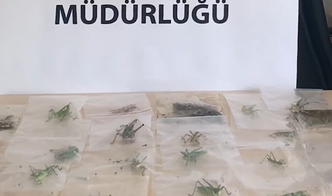 ADIYAMAN / TEKHA Tarım ve Orman Bakanlığı, Adıyaman’da yasa dışı
