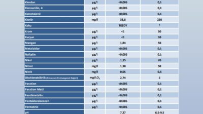 ANKARA / TEKHA Ankara Büyükşehir Belediyesi (ABB), başkent genelinde şebekeye
