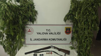 YALOVA / TEKHA Yalova İl Jandarma Komutanlığı ekipleri, uyuşturucu imal