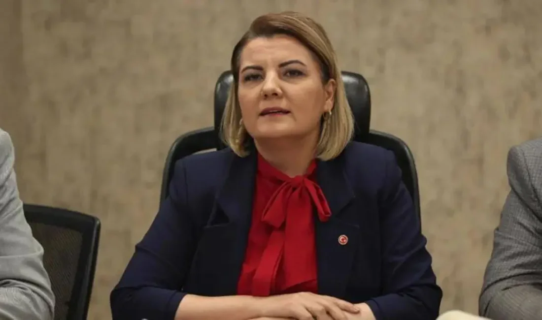 ANKARA / TEKHA İçişleri Bakanlığı, İstanbul Cumhuriyet Başsavcılığı tarafından yürütülen