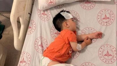 ŞANLIURFA / TEKHA Şanlıurfa’nın Halfeti ilçesinde sahipsiz köpeğin saldırısına uğrayan