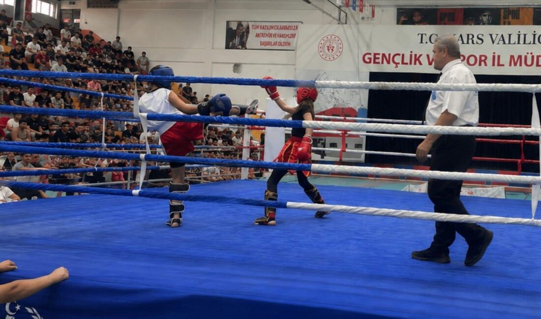10 ülkeden 413 sporcunun katıldığı Ani Uluslararası Kick Boks Müsabakaları,