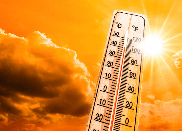 Güney Kore’de etkisini sürdüren şiddetli sıcak hava dalgası, ülke tarihinin