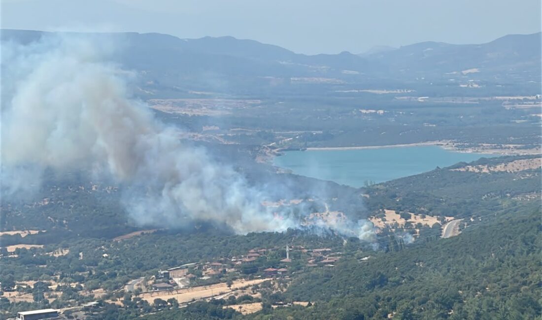 Çanakkale’nin Ayvacık ilçesine bağlı Dibekli köyü kırsalında çıkan yangın, ekiplerin