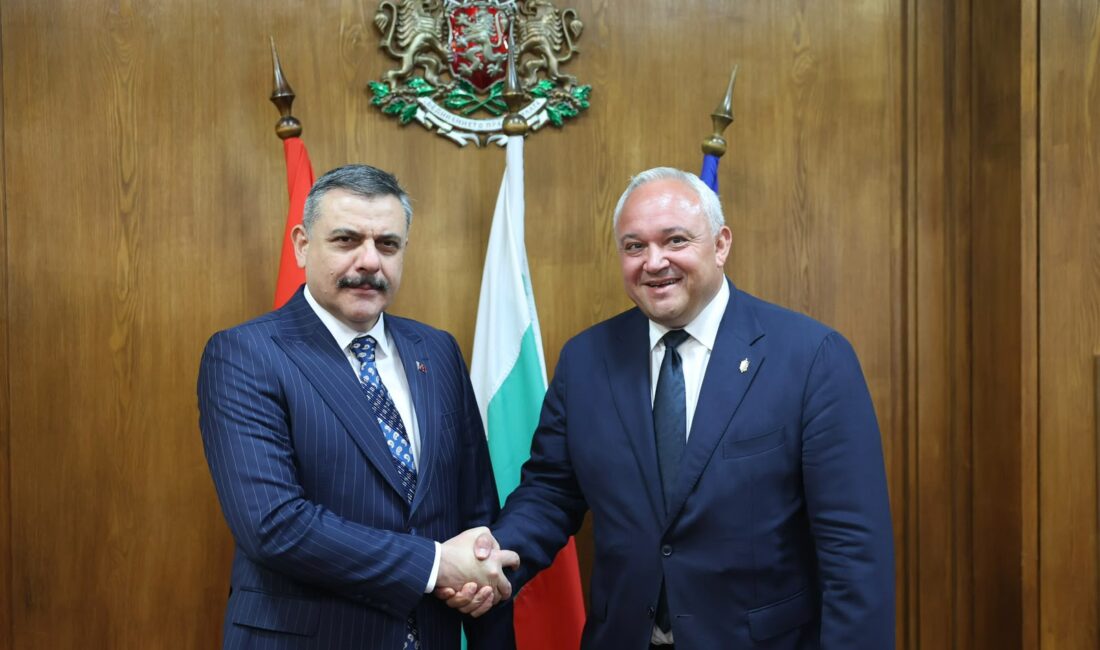 İçişleri Bakanı Mustafa Çiftçi, Bulgaristan İçişleri Bakanı Ivan Demerdzhiev ile